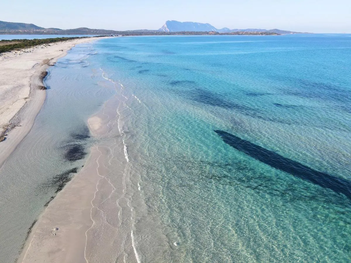Iss Travel, Domo Cytonia 2-Bedrooms Apartment With Private Fenced Terrace San Teodoro  Italy